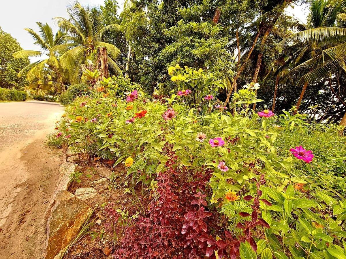 Le Nid De Bea Self-catering Appartamento Isola di La Digue